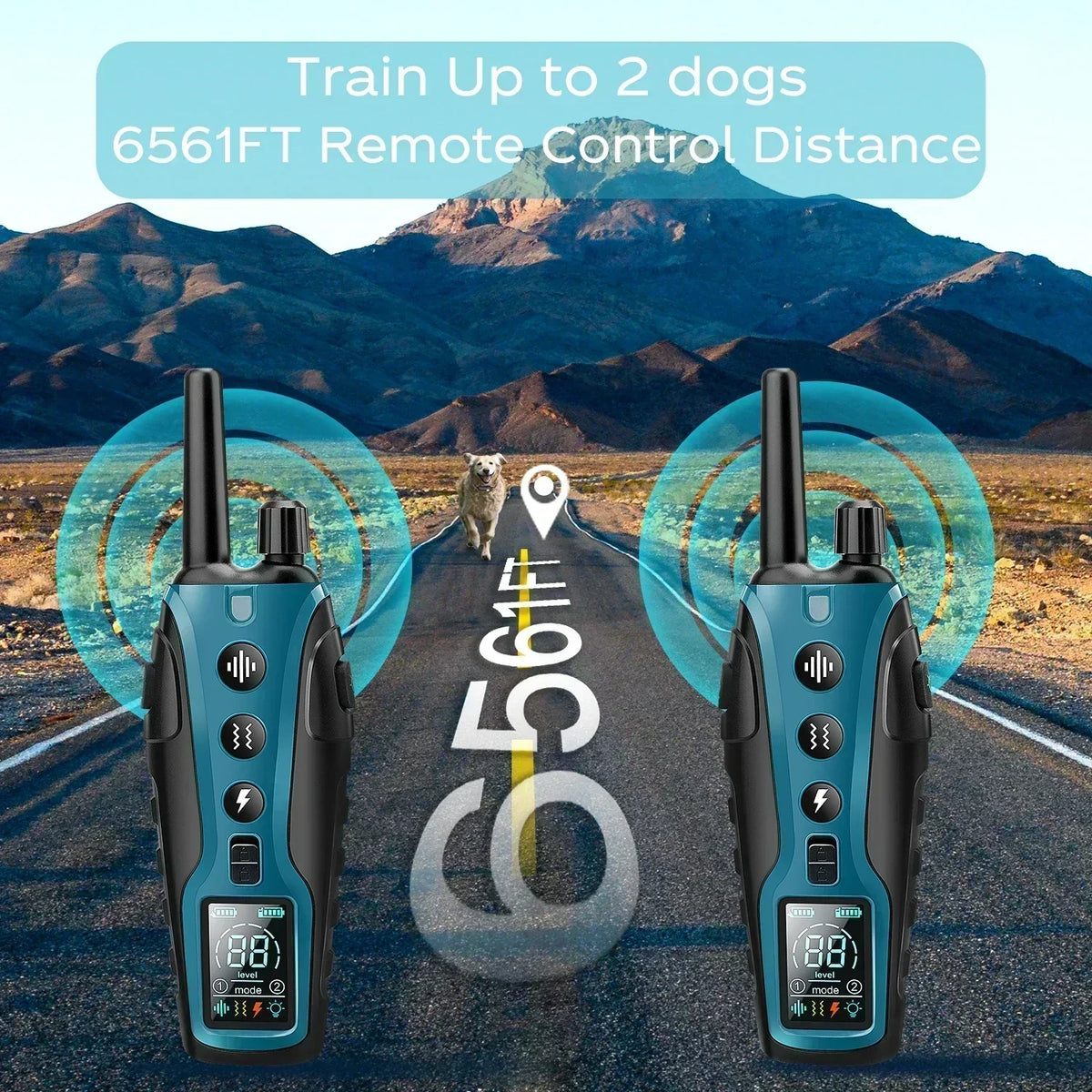 LumaPace NightGuard-Hundetrainingshalsband — Taschenlampe, 2 Lichtmodi - Desfino