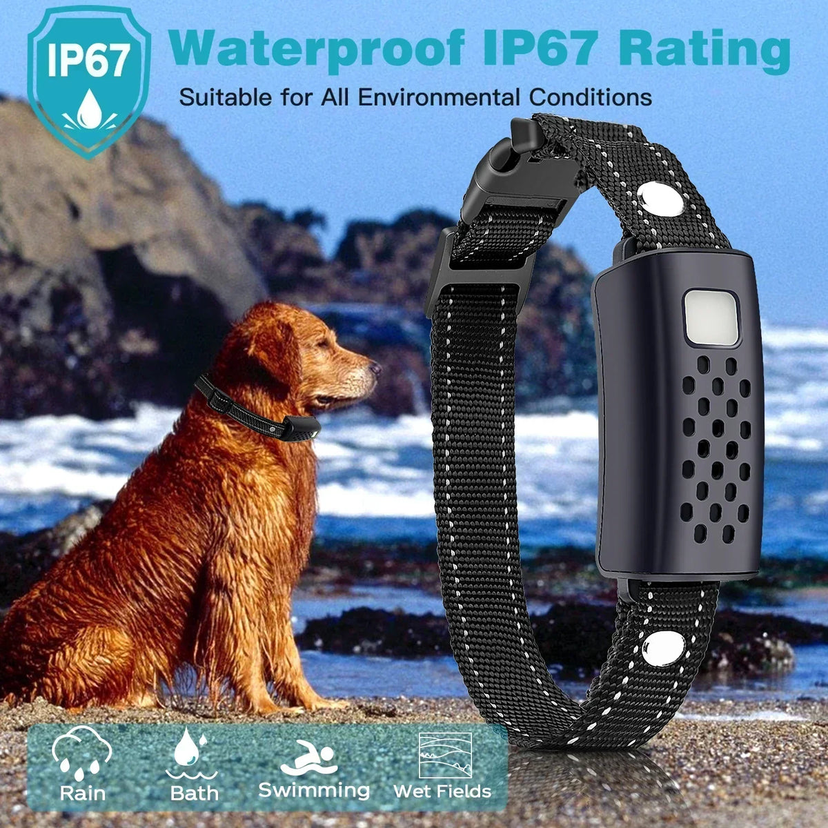 LumaPace NightGuard-Hundetrainingshalsband — Taschenlampe, 2 Lichtmodi - Desfino