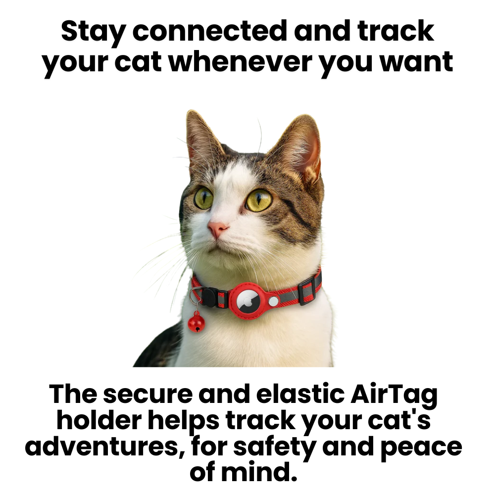 Collier réfléchissant pour chat à ouverture rapide - support réglable pour traceur GPS - Desfino