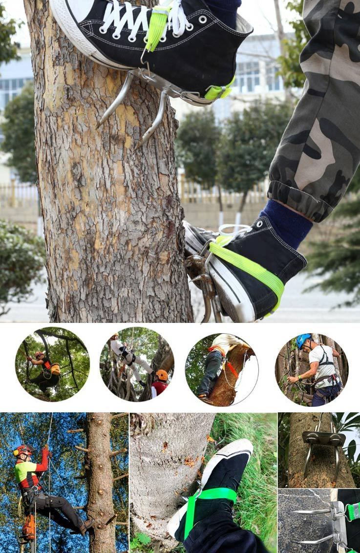 Púas y arnés para trepar árboles SylvaGrip — Acero inoxidable 304 - Desfino