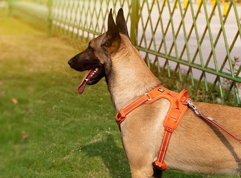 True Love No Pull-reflekterende hundesele