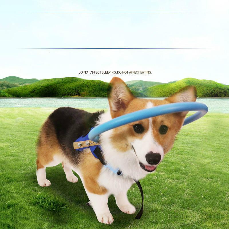 WandaPaws 盲導犬用ガイドバンパー首輪 - ハーネス対応 - Desfino