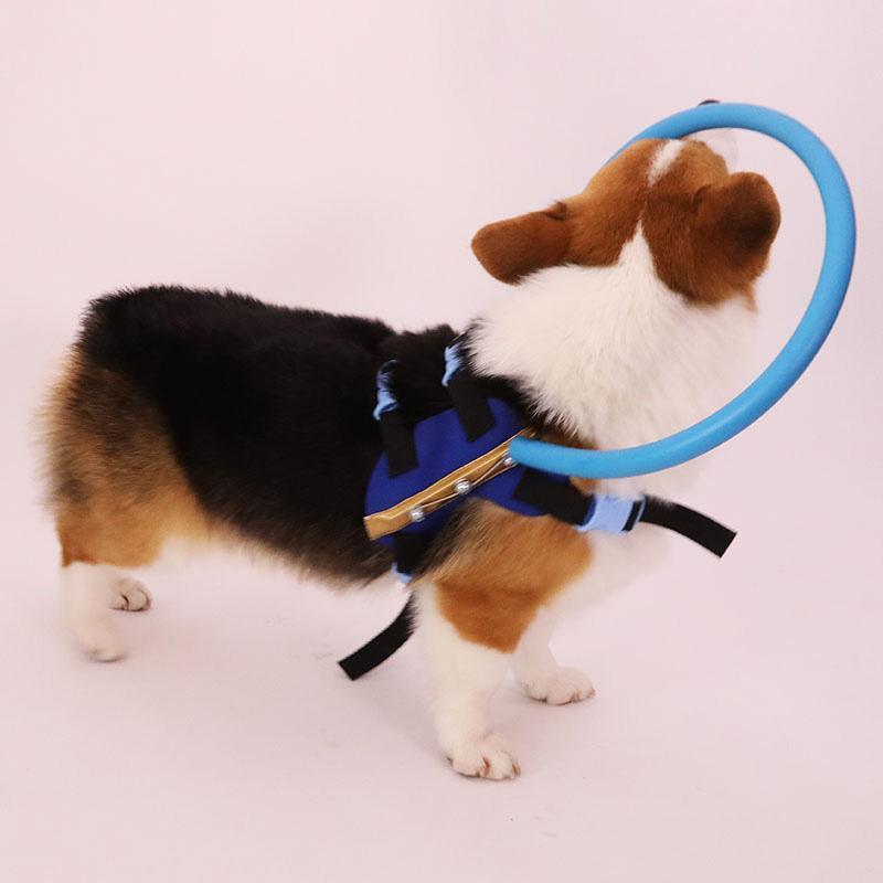 WandaPaws 盲導犬用ガイドバンパー首輪 - ハーネス対応 - Desfino
