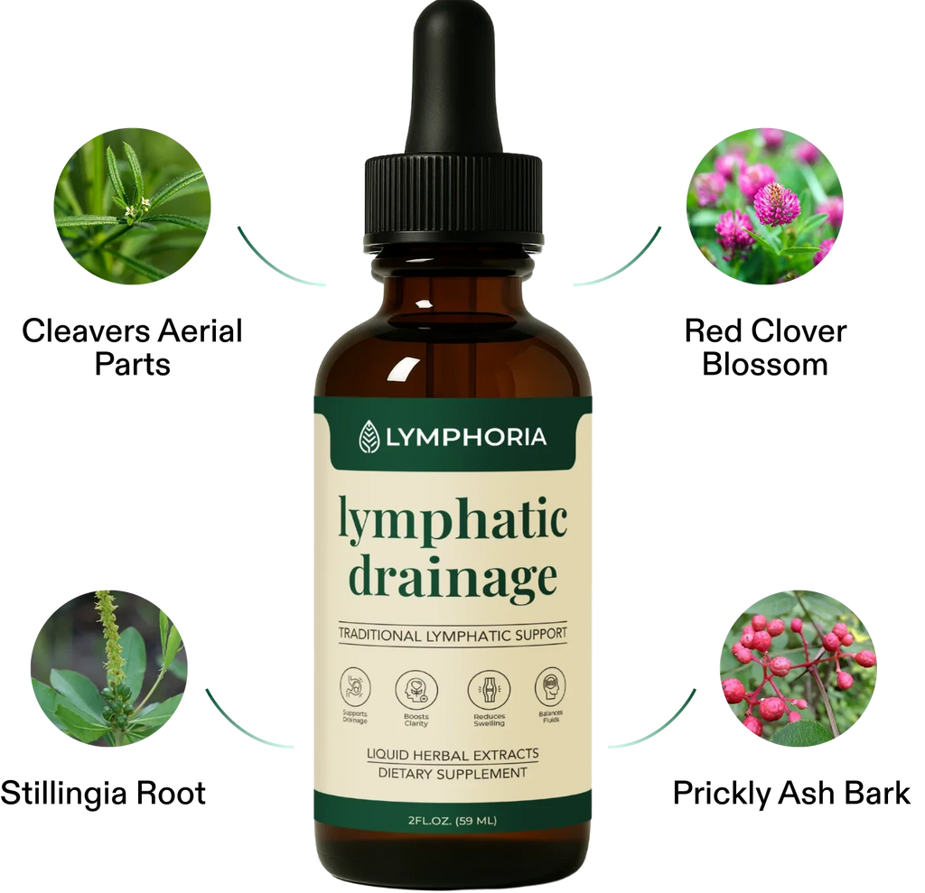 Herbal Lymphatic Drainage Drops for Daily Wellness Support - Desfino