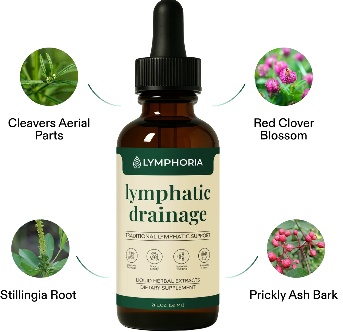 Herbal Lymphatic Drainage Drops for Daily Wellness Support - Desfino