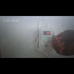 Compact 2-in-1 Natural Gas and Carbon Monoxide Detector — Flashing Red Indicator