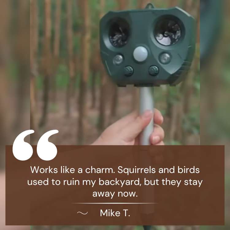 Dispositif ultrasonique de protection extérieure contre les oiseaux et les nuisibles GardenSentinel — Sans cruauté - Desfino