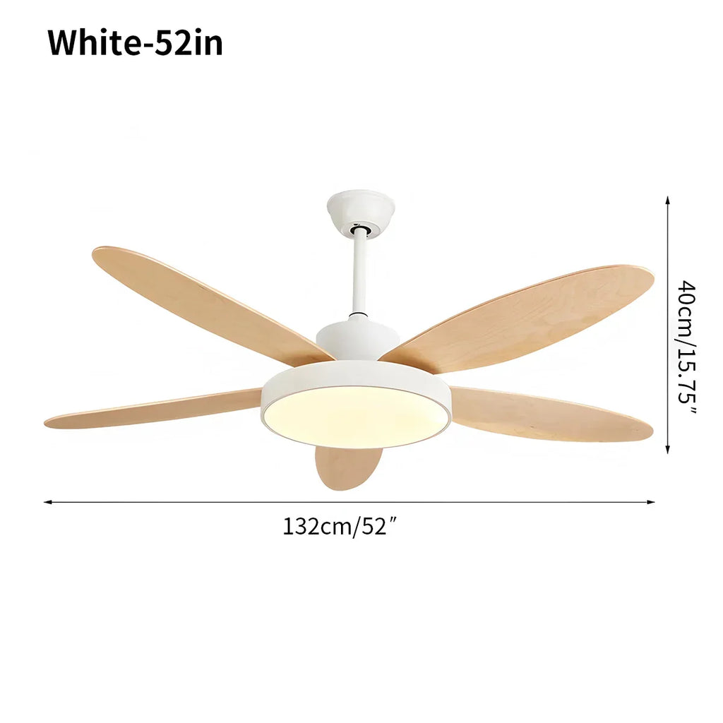 Moderner Deckenventilator mit 5 Flügeln und Lampe fürs Wohnzimmer | Desfino