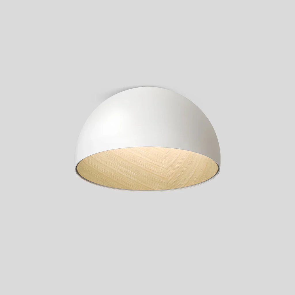 Duo Plane/Slanted Ceiling Lamp | Desfino