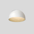 Duo Plane/Slanted Ceiling Lamp | Desfino