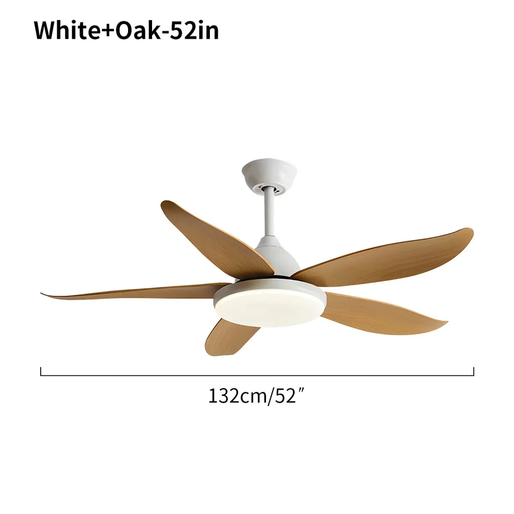 Moderner Deckenventilator mit 5 Flügeln und Lampe | Desfino