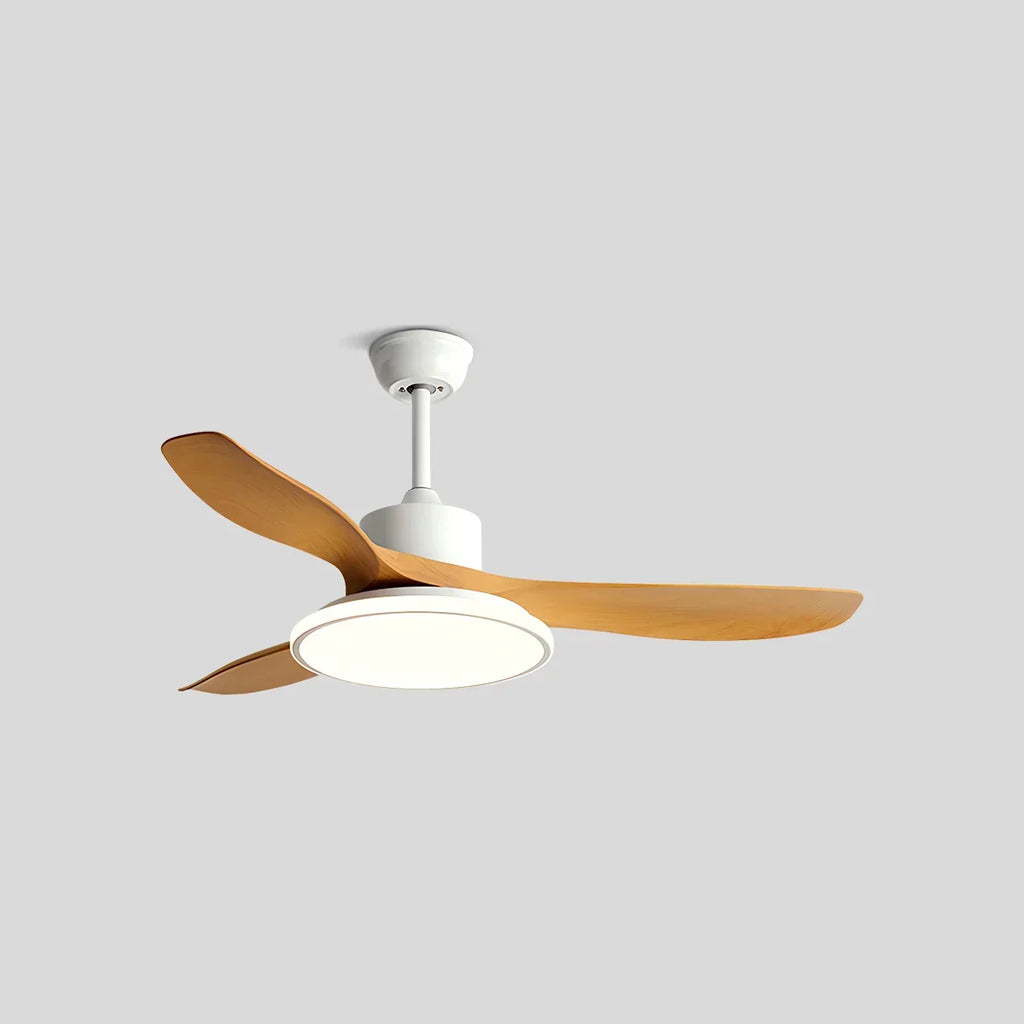 Modern 3 Blade Ceiling Fan with Light | Desfino