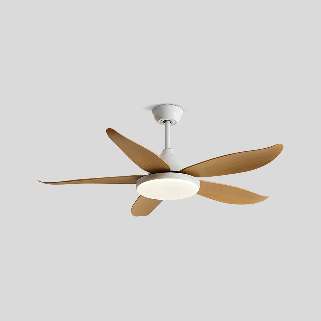 Moderner Deckenventilator mit 5 Flügeln und Lampe | Desfino