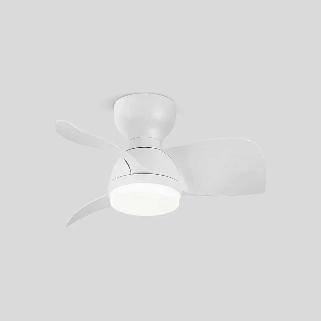 Small Flush Mount Ceiling Fan with Light | Desfino