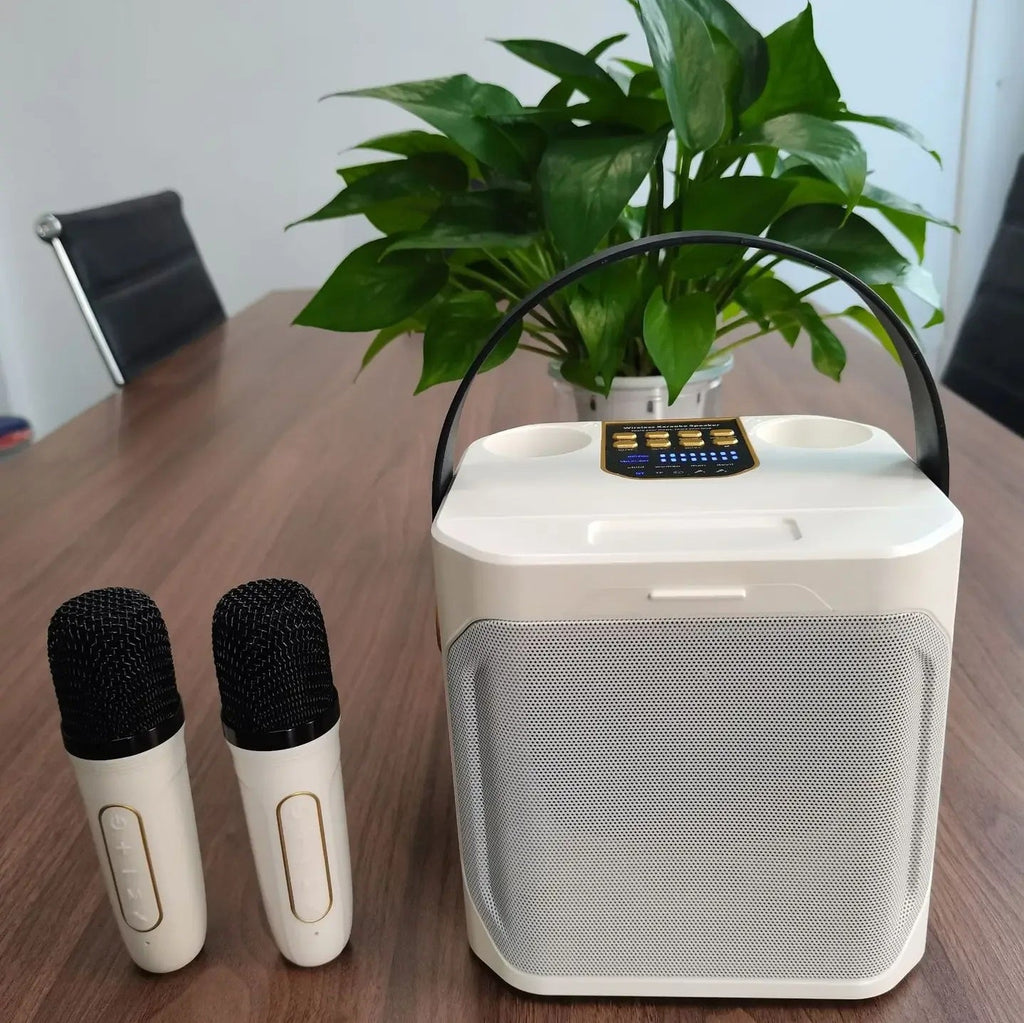 Tragbarer wiederaufladbarer Bluetooth-Karaoke-Lautsprecher — 100W, zwei Mikrofone - Desfino