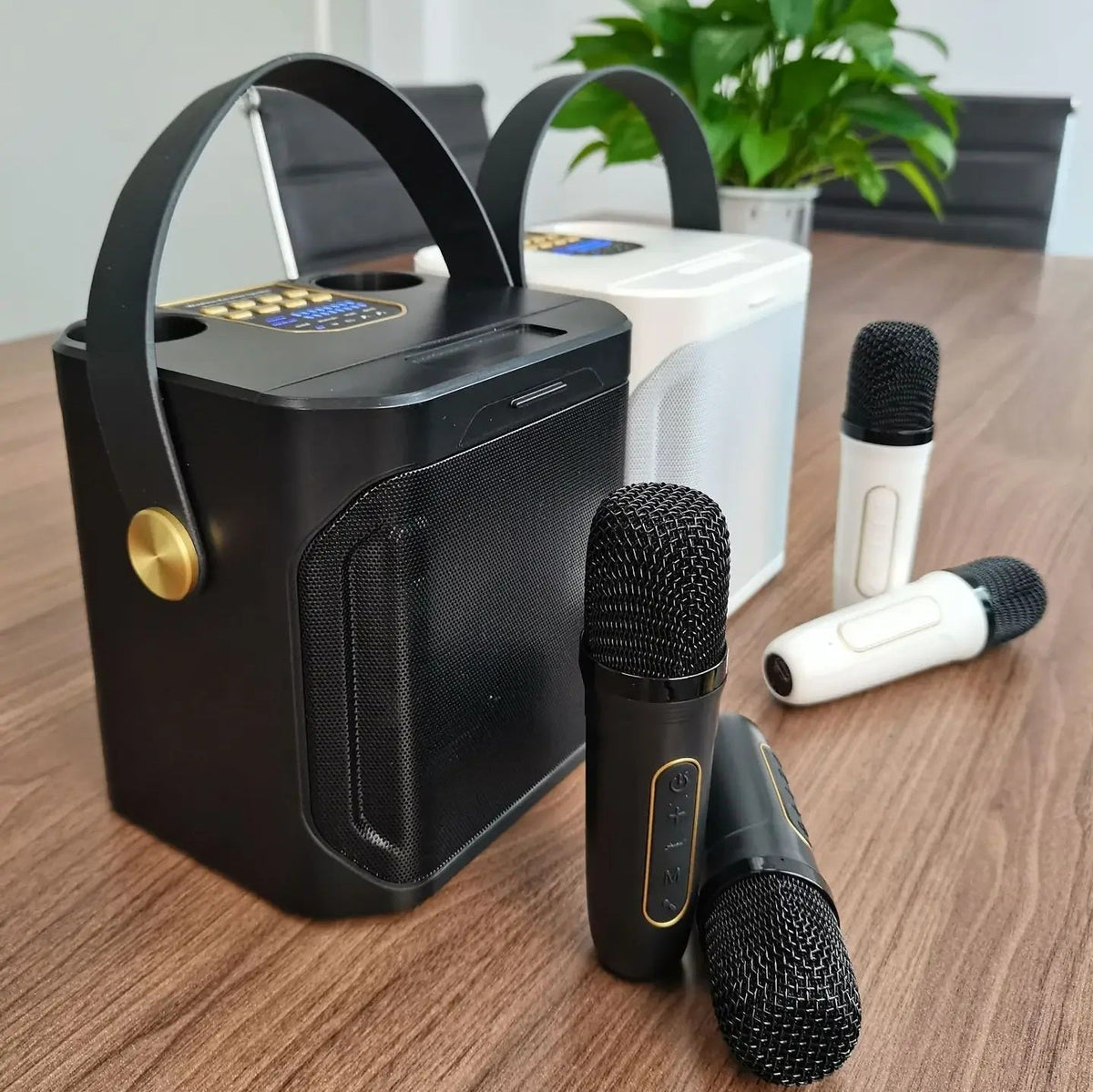 Tragbarer wiederaufladbarer Bluetooth-Karaoke-Lautsprecher — 100W, zwei Mikrofone - Desfino