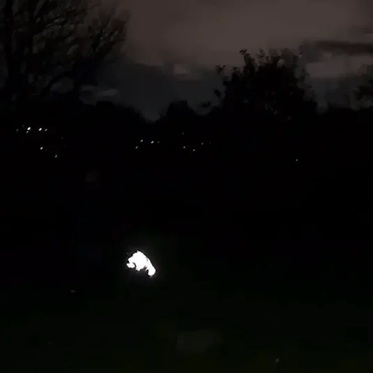Capa impermeável e refletora para chuva BarkDry — Ajuste UK de perna inteira - Desfino