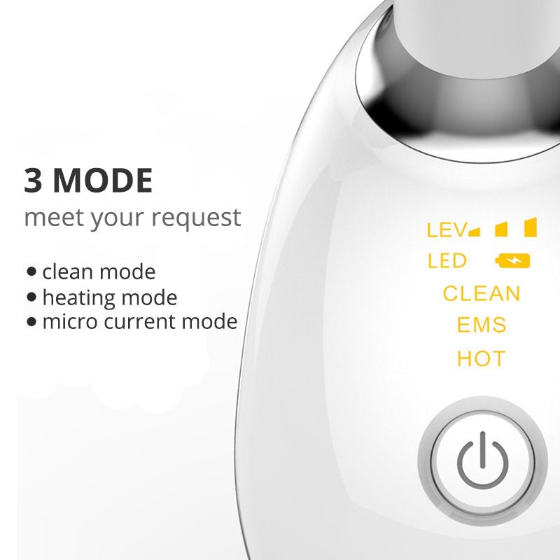 EMS Red Light Face & Neck Massager — Heat, Ion Care, Vibration - Desfino