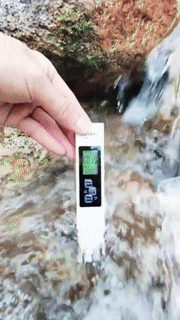 PH & ES Digital Water Quality Tester