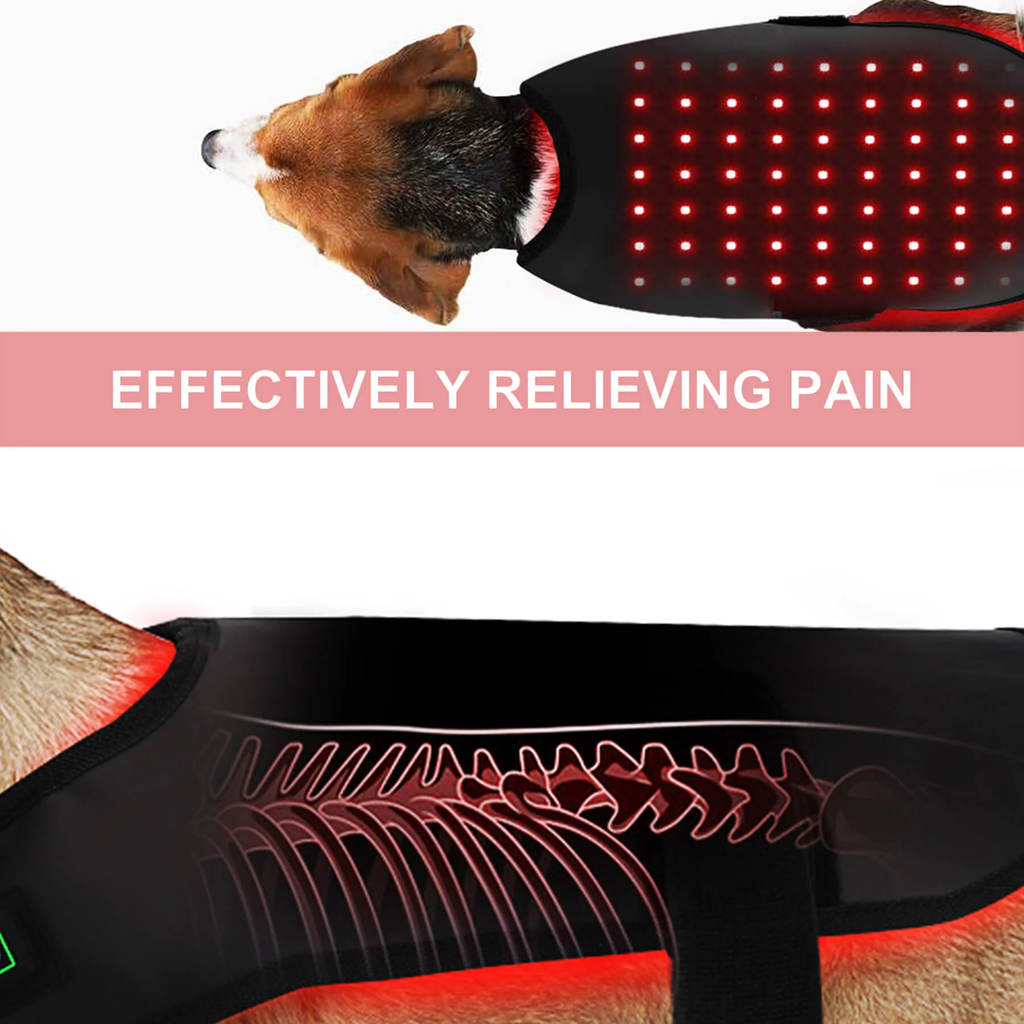 Adjustable Red & Near-Infrared Light Therapy Belt for Dogs & Cats - Desfino