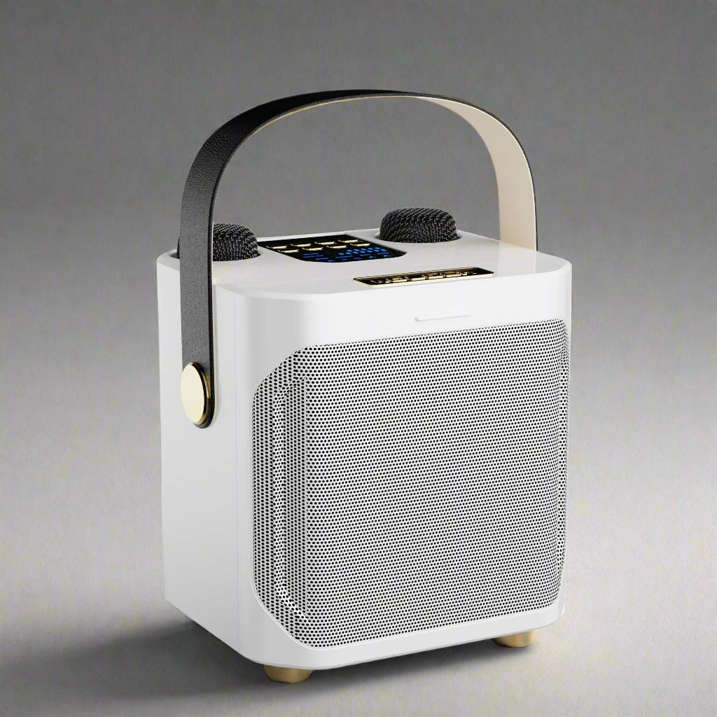 Tragbarer wiederaufladbarer Bluetooth-Karaoke-Lautsprecher — 100W, zwei Mikrofone - Desfino