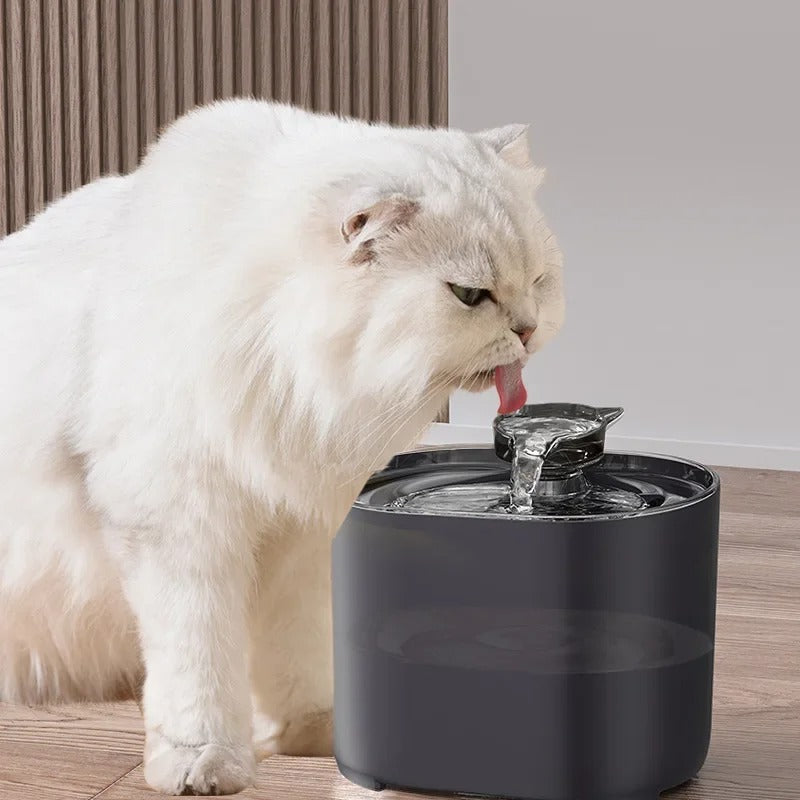 מזרקת מים אלחוטית ואוטומטית לחתולים AquaPaws — סינון רב-שלבי | Desfino