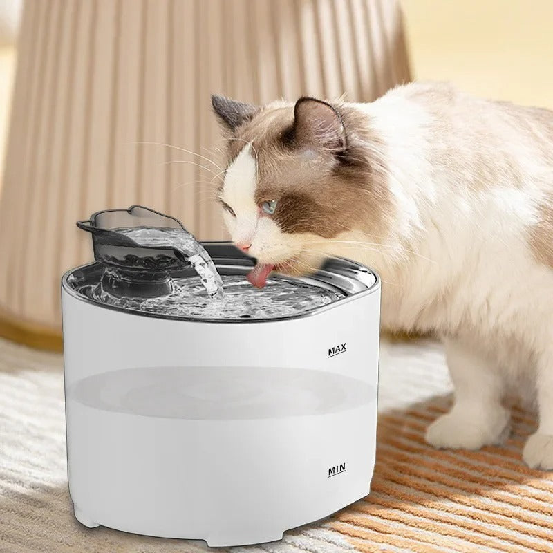 מזרקת מים אלחוטית ואוטומטית לחתולים AquaPaws — סינון רב-שלבי | Desfino
