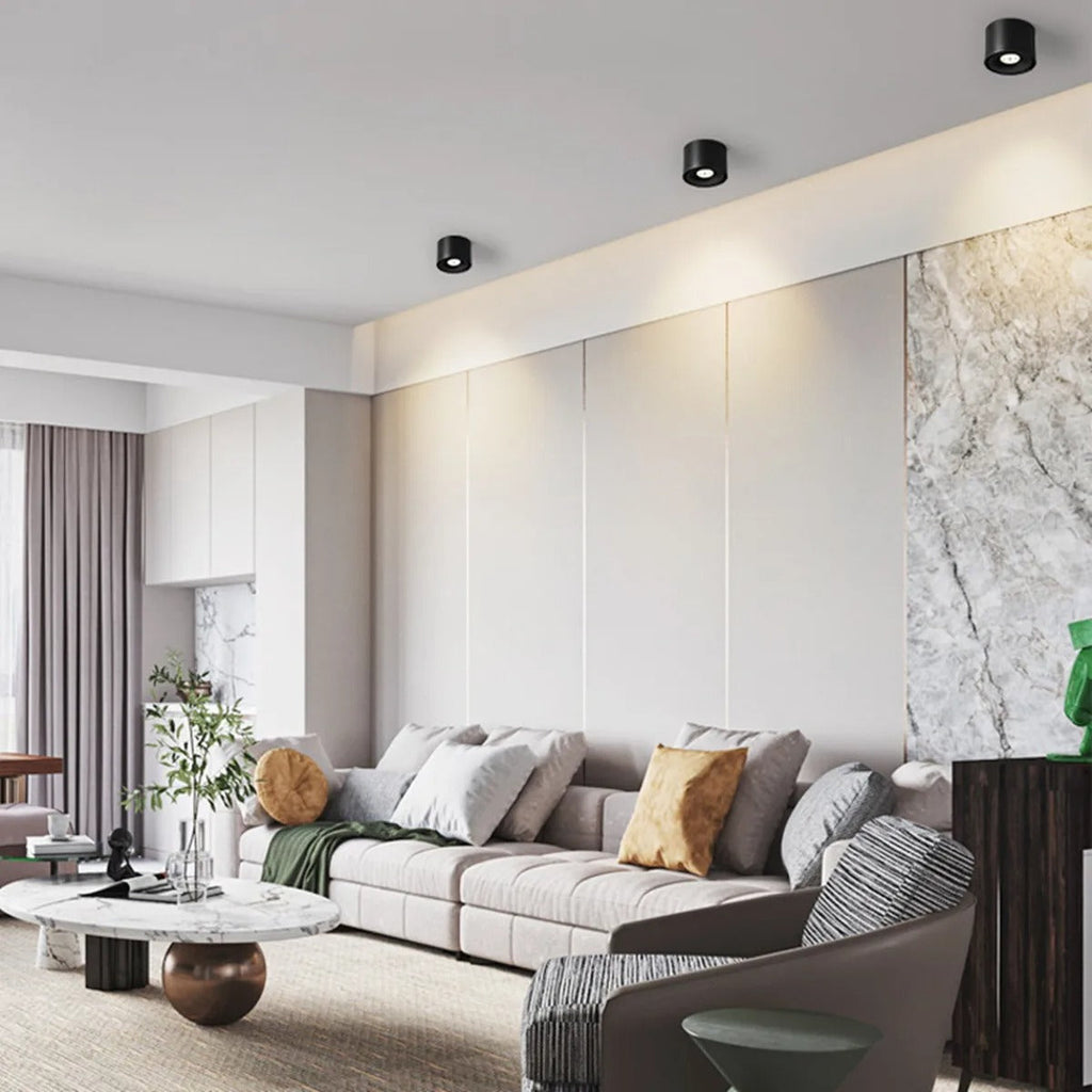 Foco LED de techo giratorio — Downlight ajustable de aluminio - Desfino