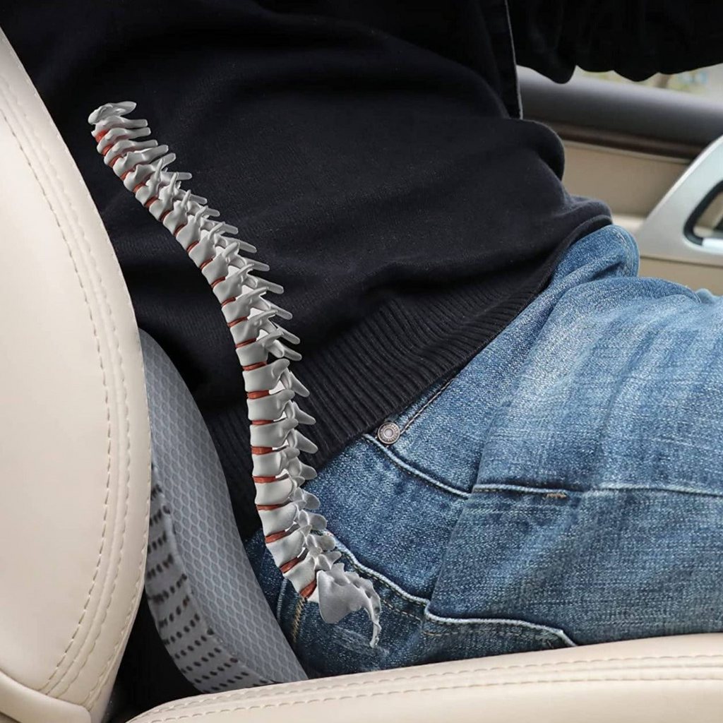Height Raising Cushion for Car Seats — Adult