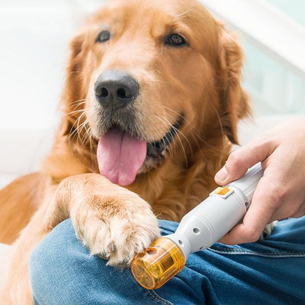 PawEase Nail Trimmer for Dogs & Cats — Precise Emery Filing Wheel - Desfino