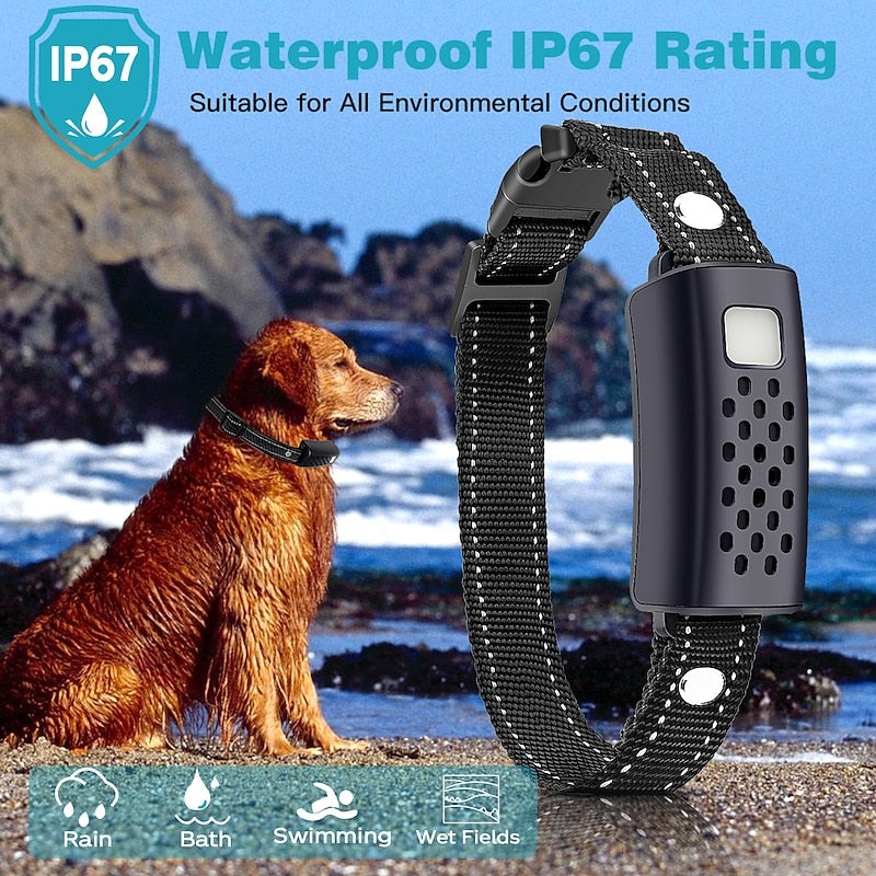 AstraGuard Pro treningshalsbånd — 2000m pipelyd, vibrasjon og støt - Desfino