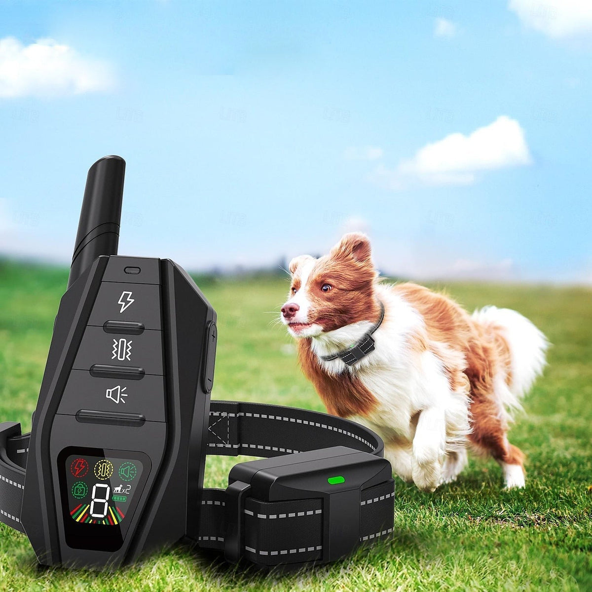 AstraTrail Pro Dog Training Collar — IPX7, 1,000m, Beep/Vibration/Shock - Desfino