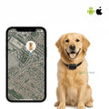 Kiri GPS 狗项圈 — 防水、可调节，实时追踪 - Desfino