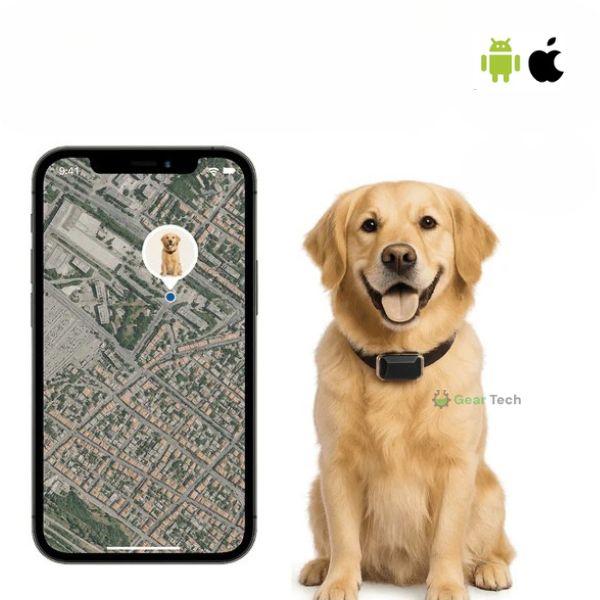 Kiri GPS 狗项圈 — 防水、可调节，实时追踪 - Desfino