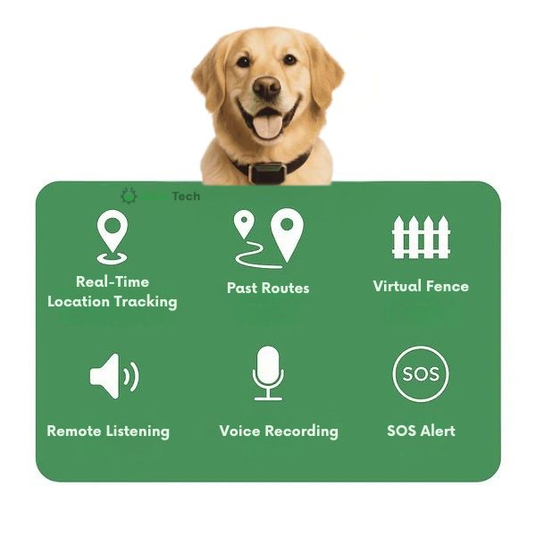 Kiri GPS 狗项圈 — 防水、可调节，实时追踪 - Desfino