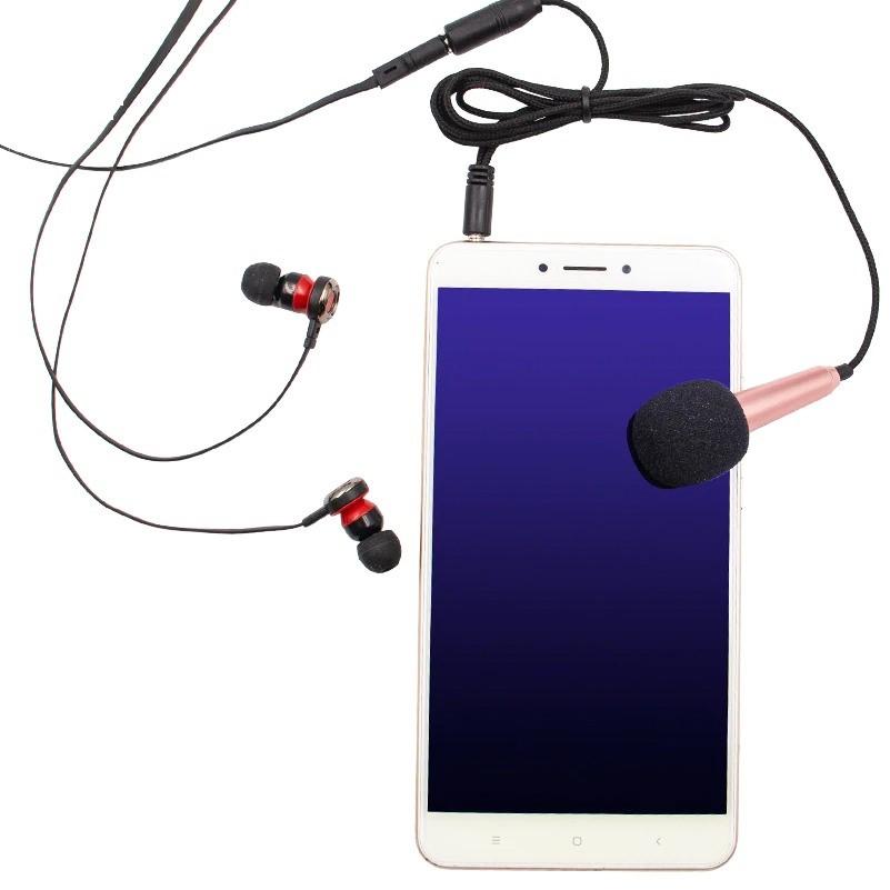 Microfono karaoke portatile Virelle da 3.5mm — plug and play - Desfino