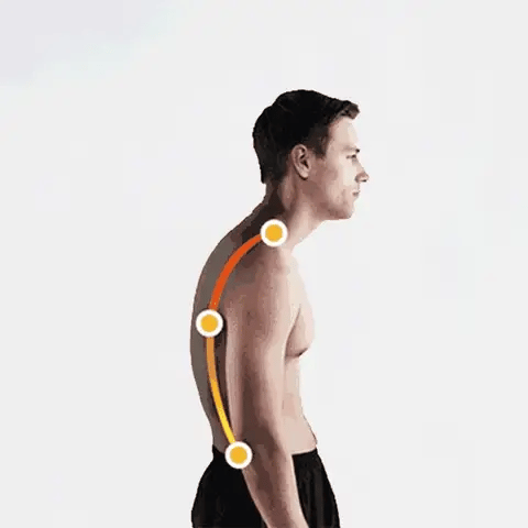 Alignara Pro Posture Corrector — Alignment & Back Pain Support - Desfino