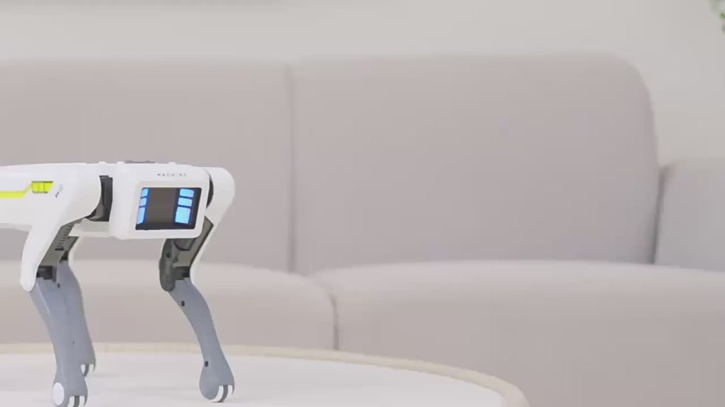 Câine robot AI programabil — control vocal, prin smartphone și infraroșu - Desfino