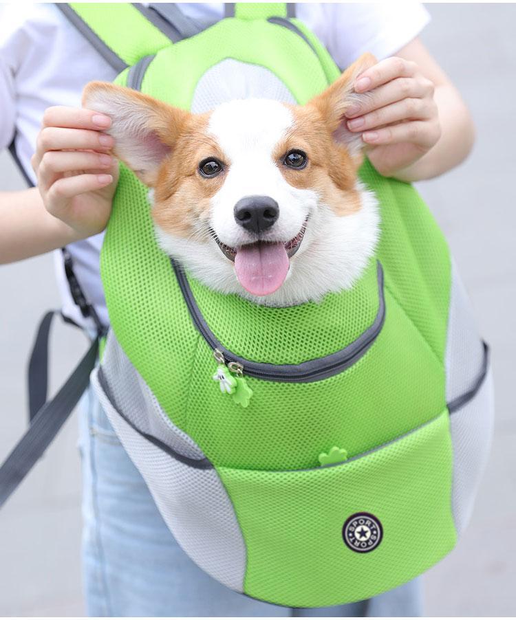 Zaino porta-cane TrailPaw — Trasporto comodo e sicuro - Desfino