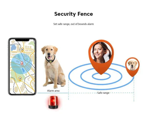 Localizator pentru pisici PawGuard — Microcip și GPS, urmărire în timp real prin aplicație, 65 g - Desfino