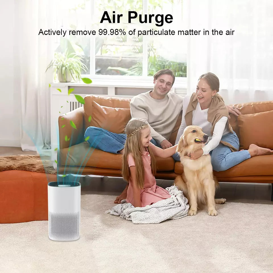True HEPA Air Purifier — Compact, Ultra-Quiet Small Room Cleaner - Desfino