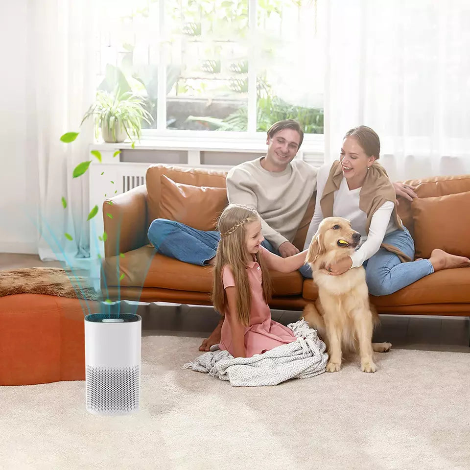 True HEPA Air Purifier — Compact, Ultra-Quiet Small Room Cleaner - Desfino