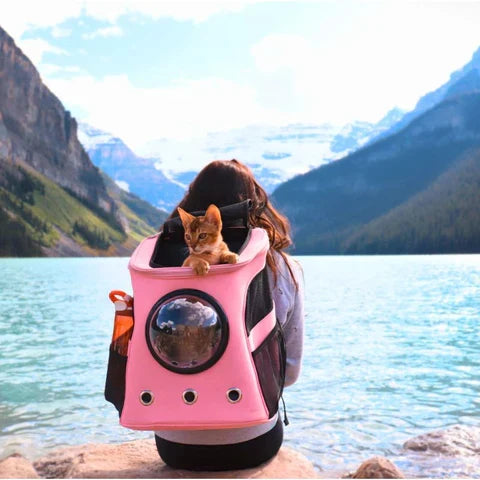 Mochila de viaje espaciosa y transpirable para gatos — Transportín para senderismo y acampada | Desfino