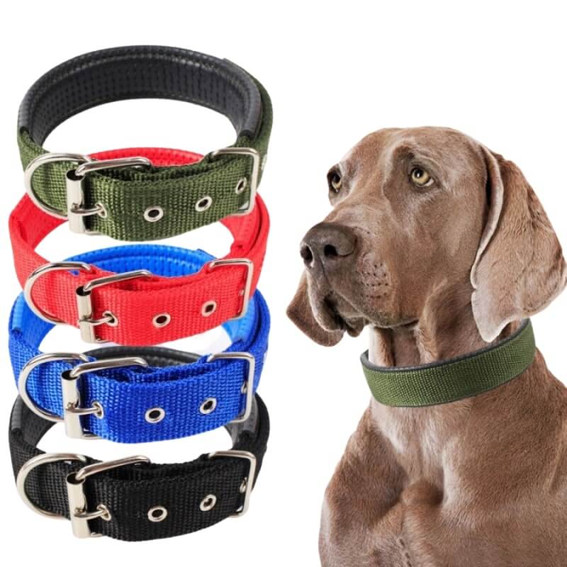 LumenPaw 丈夫な犬用首輪 — 調節可能、軽量で快適 - Desfino