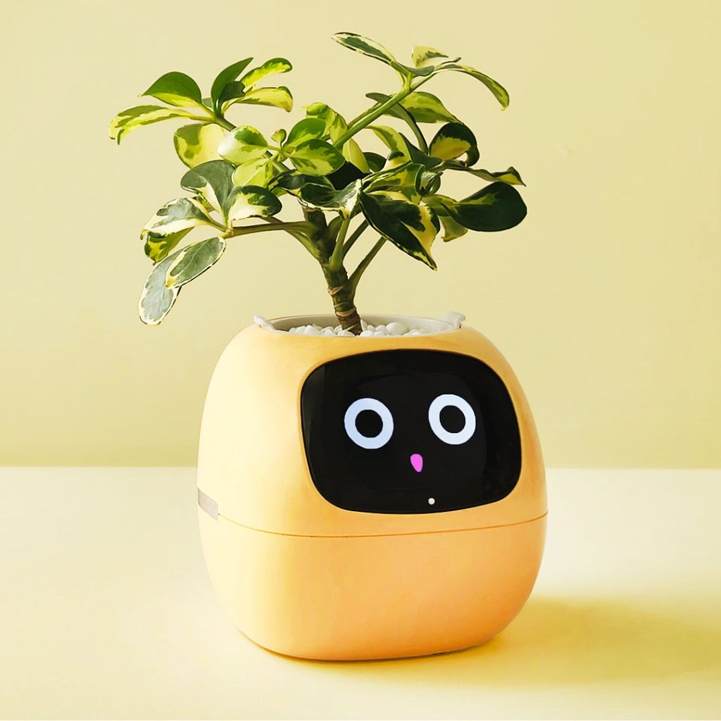 NexiLeaf Smart Planter — 70 Animations, Alexa Connected - Desfino